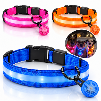 Double-Light LED Dog Collar