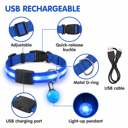 Parts of the LED dog collar and its detachable light-up pendant