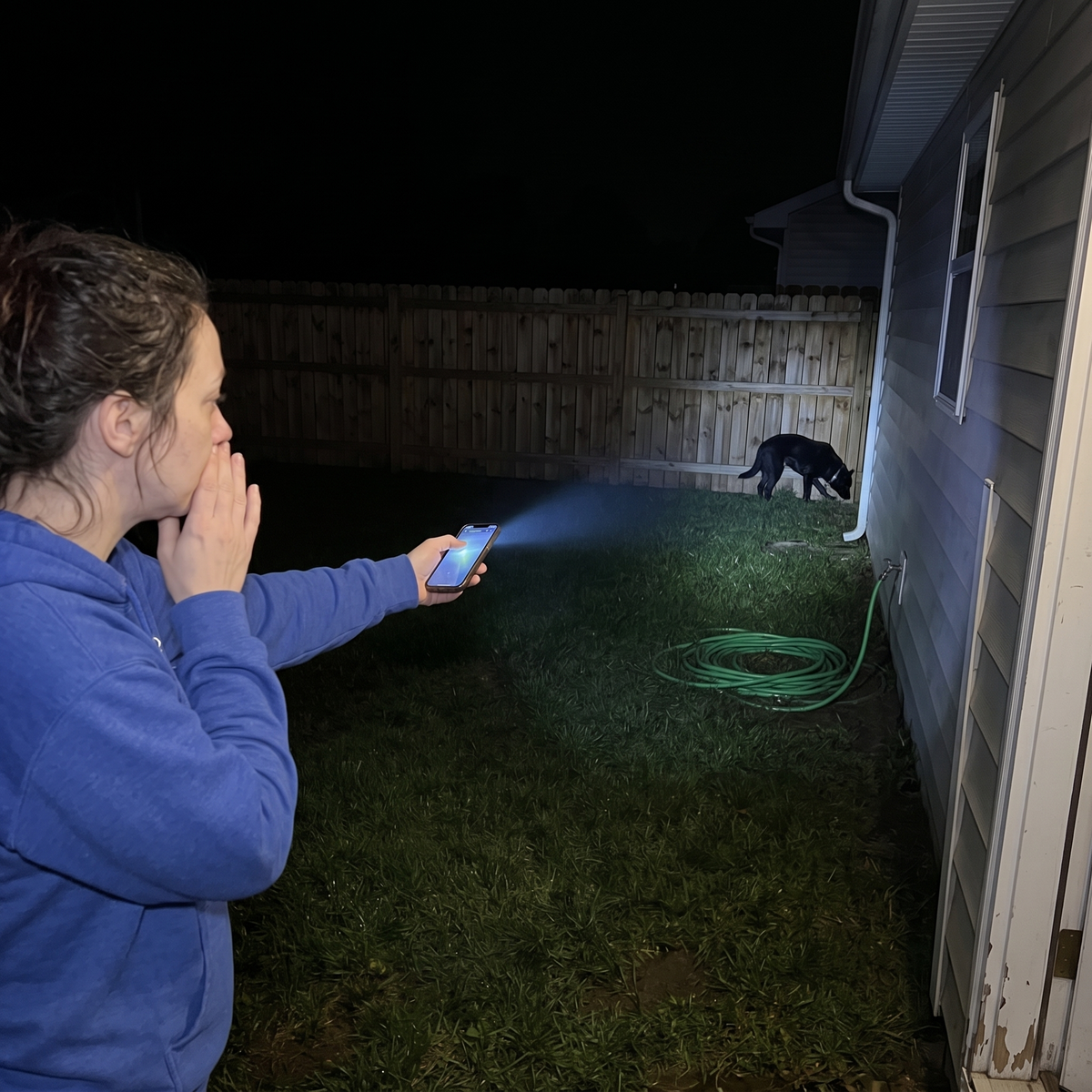 Woman searching the dark backyard with her phone flashlight while her dog sniffs by the fence
