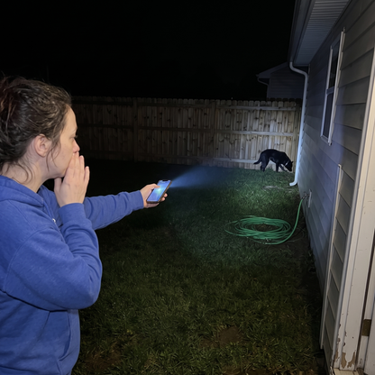 Woman searching the dark backyard with her phone flashlight while her dog sniffs by the fence