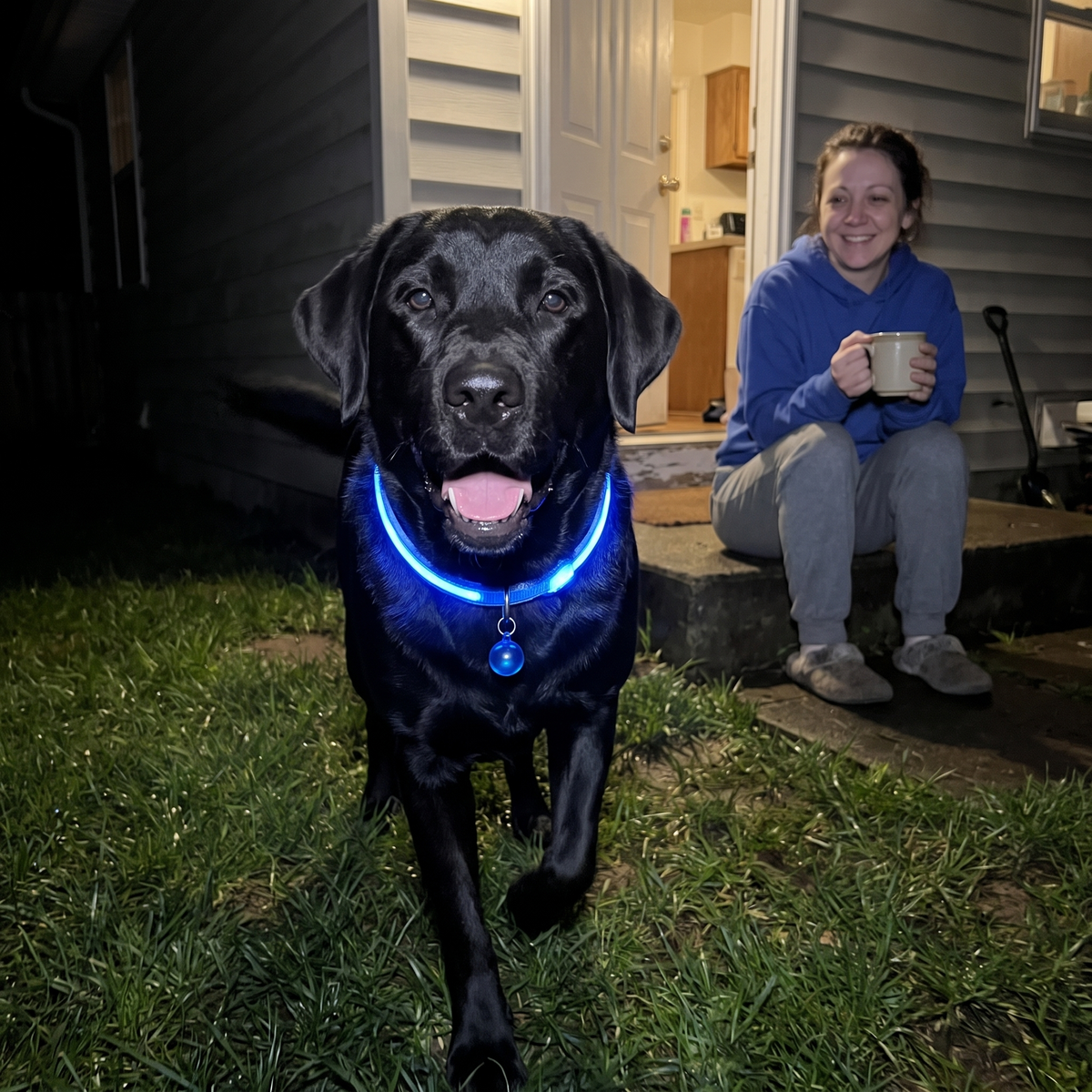 Black dog wearing the glowing blue LED collar while its owner relaxes on the porch